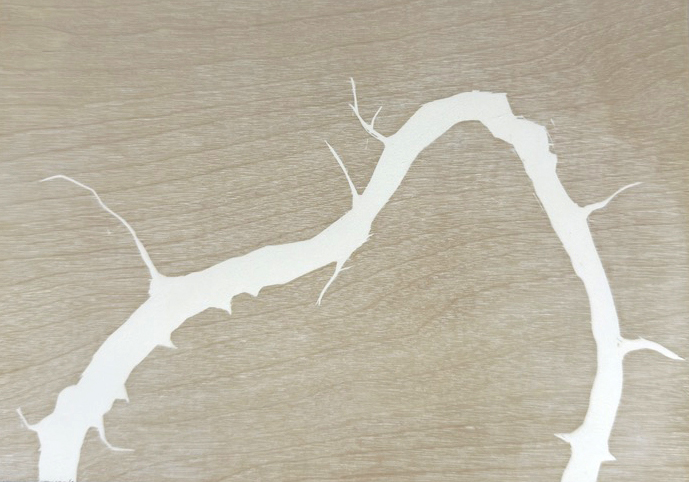 112_Oblique-Ohbleak_IMG_4515_croppedwide